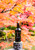 KI NO BI Kyoto Dry Gin 700ml