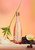 CHANDON CHANT DES CIGALES 750ml