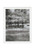 grain #2019-3 