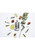 UNE FIGUE 100ml (3760325250296)