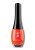 KOH Colours 125 Dutch