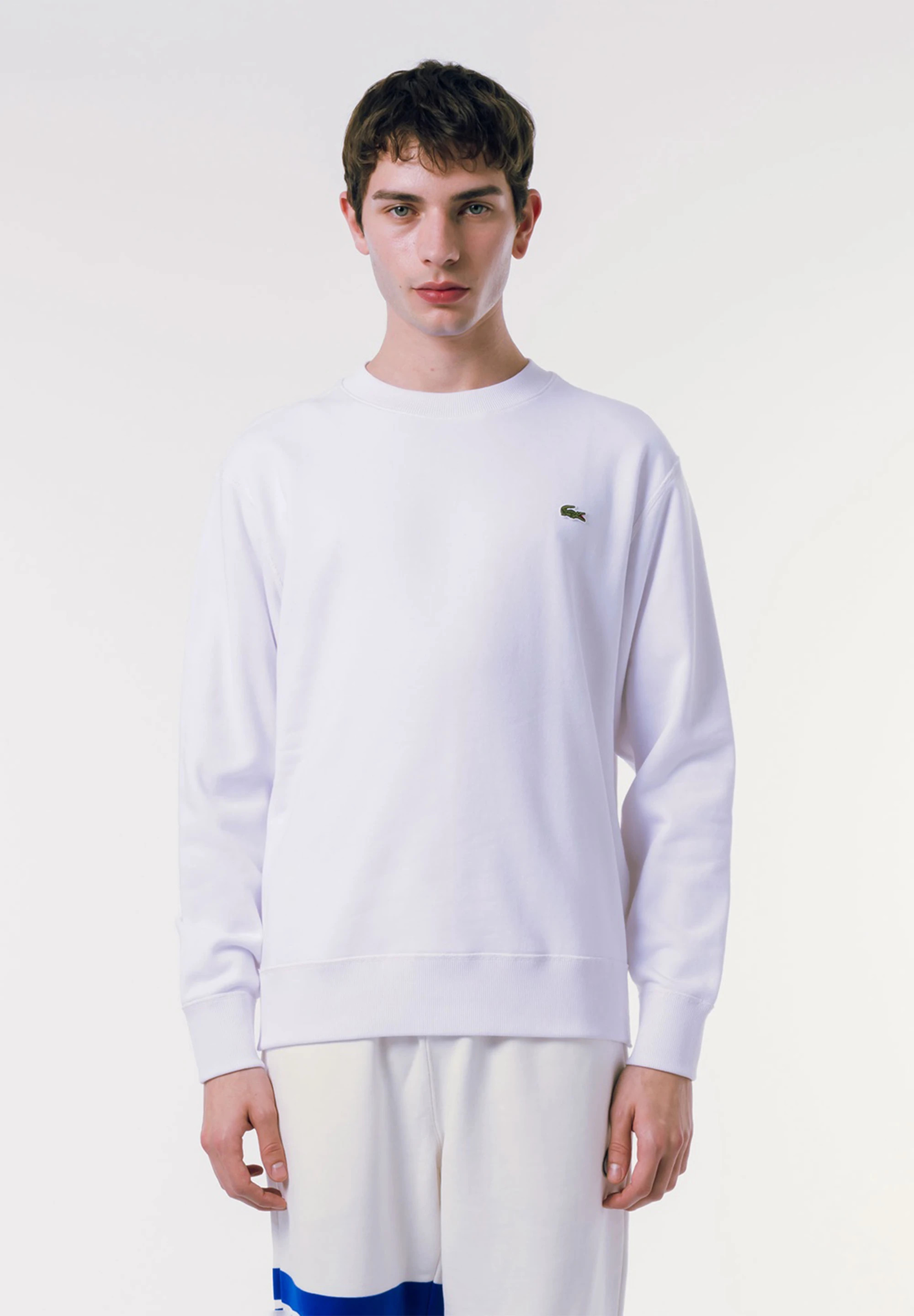 ラコステ プレミアムスウェットクルーネック Lサイズ ラコステ LACOSTE プレミアムスウェットクルーネック （ネイビー