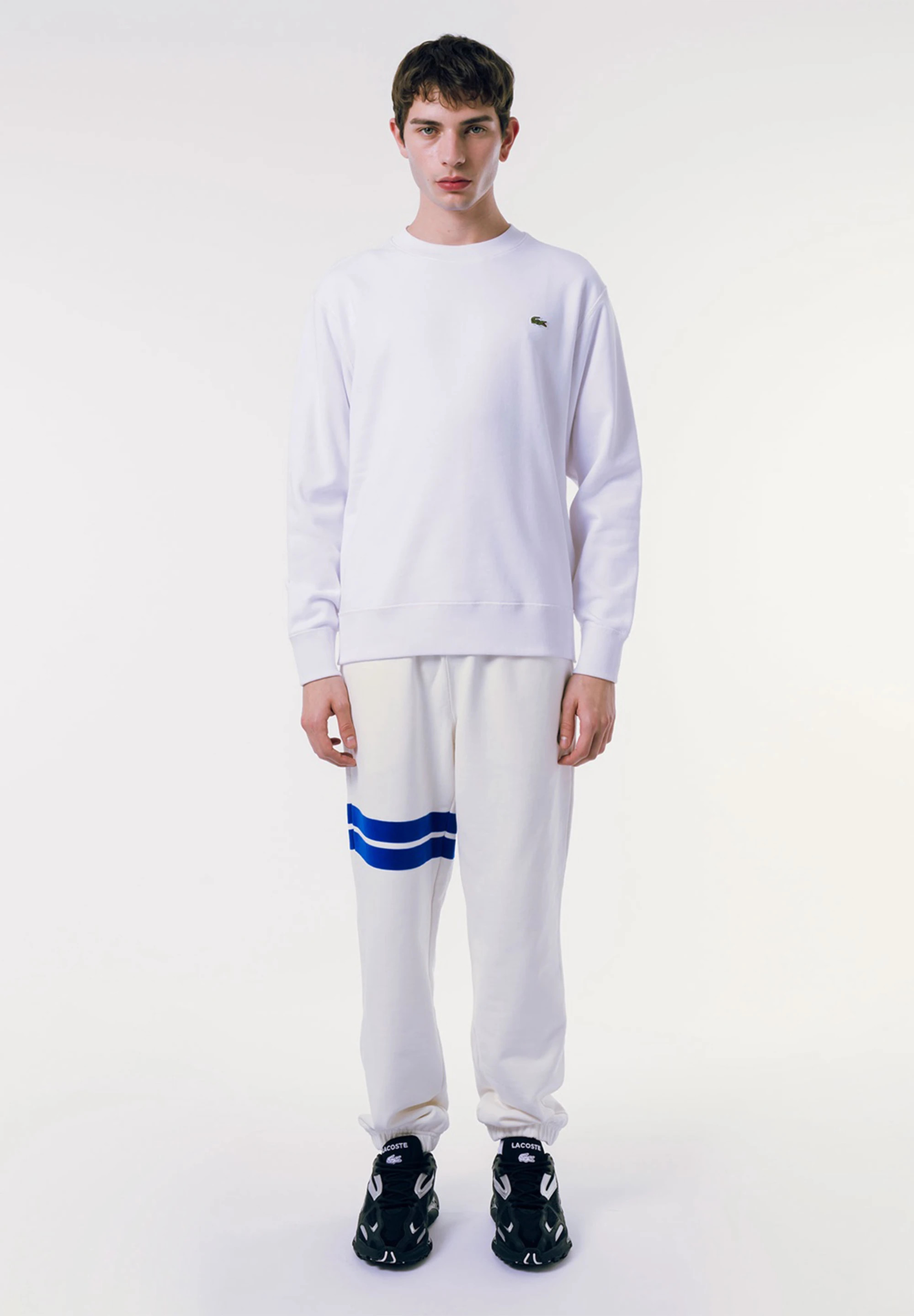ラコステ プレミアムスウェットクルーネック Lサイズ ラコステ LACOSTE プレミアムスウェットクルーネック （ネイビー