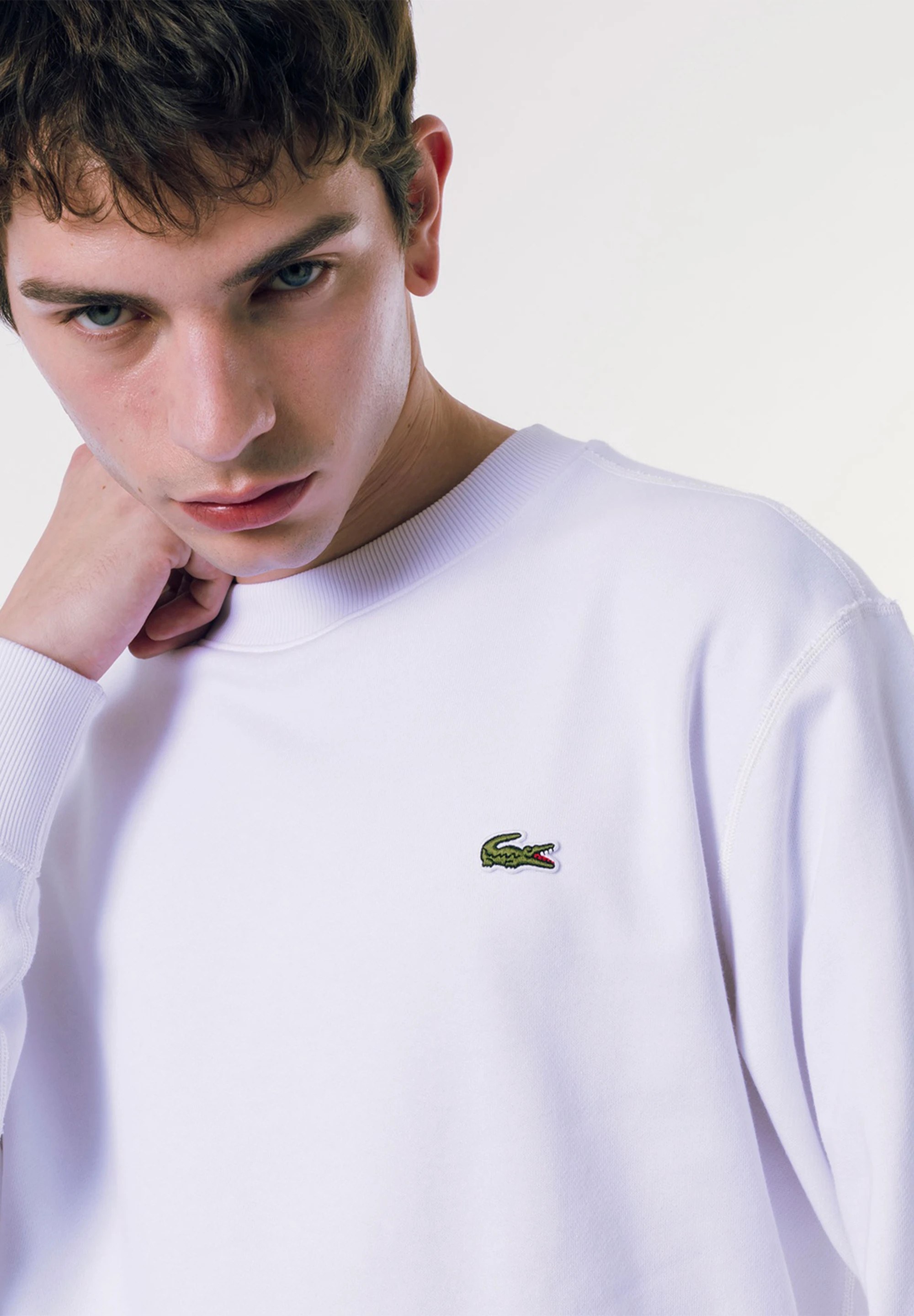 ラコステ プレミアムスウェットクルーネック Lサイズ LACOSTE トレーナー スウェット プレミアムスウェットクルー