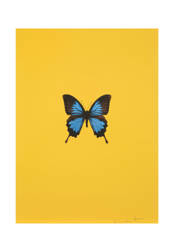 Damienhirstダミアンハースト大型本 付属品完備 UESHIMA MUSEUM COLLECTION