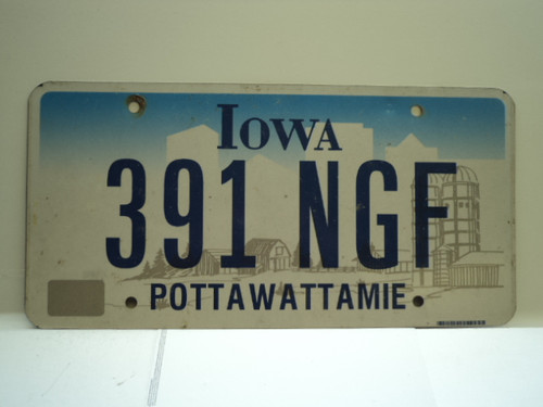 IOWA License Plate 391 NGF