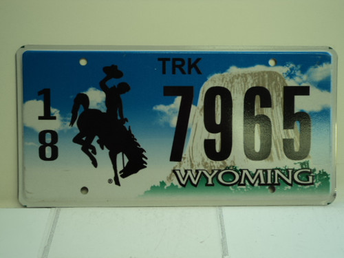 WYOMING Bucking Bronco Devils Tower Truck License Plate 18 7965