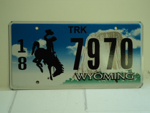 WYOMING Bucking Bronco Devils Tower Truck License Plate 18 7970