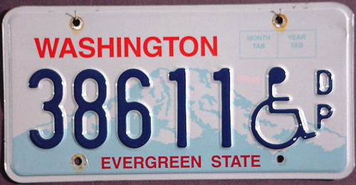 Washington Mt Ranier Wheelchair 2