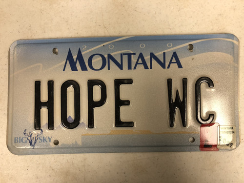 2000 (2002 Tag) MONTANA Big Sky License Plate HOPE-WC Hope Cow Skull