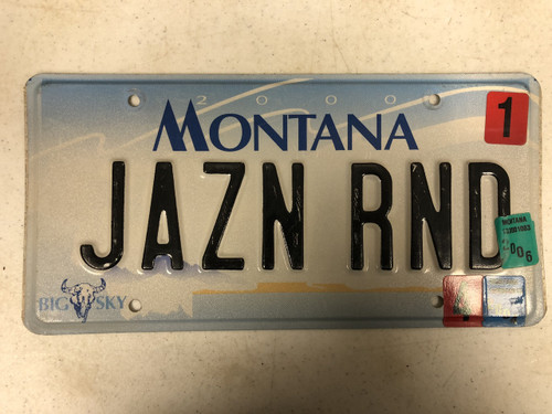 2000 (2004 & 2006 Tag) MONTANA Big Sky License Plate JAZN RND Cow Skull
