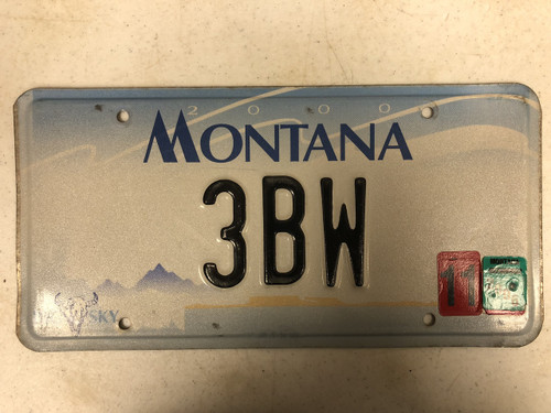 2000 (2006 Tag) MONTANA Big Sky License Plate 3BW Cow Skull