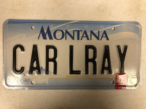 2000 (2002 Tag) MONTANA Big Sky License Plate CARLRAY Carl Ray Cow Skull