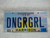 2011 Mar Mississippi DNGRGRL License Plate