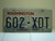 Washington Evergreen State License Plate 602 XDT