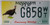 Mississippi Turkey G858 WT License Plate