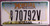 Montana Veteran Flat