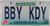 June Missouri Vanity License Plate BBY KDY