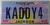 Mississippi Vanity KADDY4 License Plate