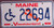 Maine Lobster Wheelchair 1