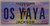 Mississippi Vanity License Plate OS YAYA