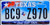 New Texas License Plate 1