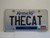 2013 KENTUCKY VANITY License Plate THECAT the cat