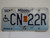 2014 MISSOURI Blue Bird Handicapped License Plate CN 22R
