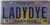Mississippi Vanity LADYDYE License Plate