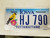 Iowa Pottawattamie County License Plate HJ 790 Bird and Flower Natural Resources