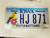 Iowa Pottawattamie County License Plate HJ 871 Bird and Flower Natural Resources