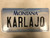 2000 MONTANA Big Sky License Plate KARLAJO Cow Skull Karl Carl