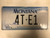 2000 MONTANA Big Sky License Plate 4T-E1 Cow Skull