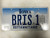 Expired IOWA Pottawattamie County License Plate BRIS-1 Farm Silo City Silhouette