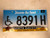 Expired NORTH DAKOTA Peace Garden State Handicapped License Plate 8391H Buffalo Wheat