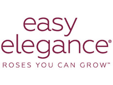 Easy Elegance