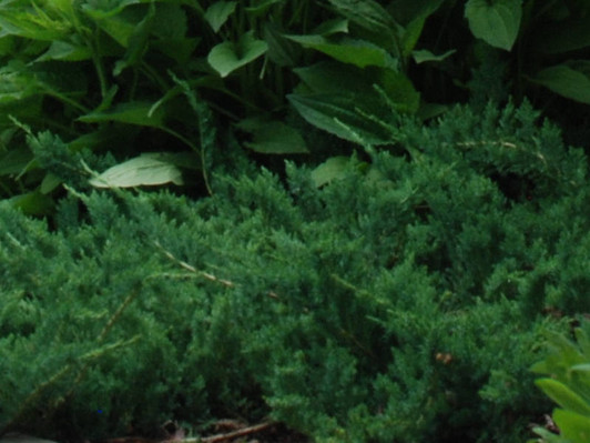 Image Jerry Anderberg & Associates, Inc. All rights reserved.