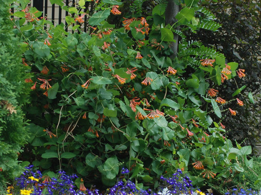 Image Jerry Anderberg & Associates, Inc. All rights reserved.