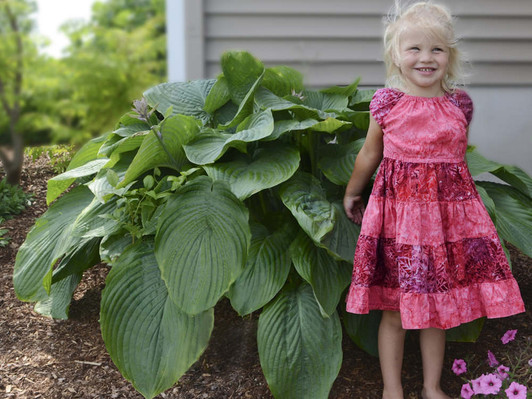 Image Courtesy Walters Gardens, Inc./Proven Winners, LLC