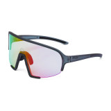 PPEEQQ Model II P R O ProAdapt - Transparant Grey/Purple