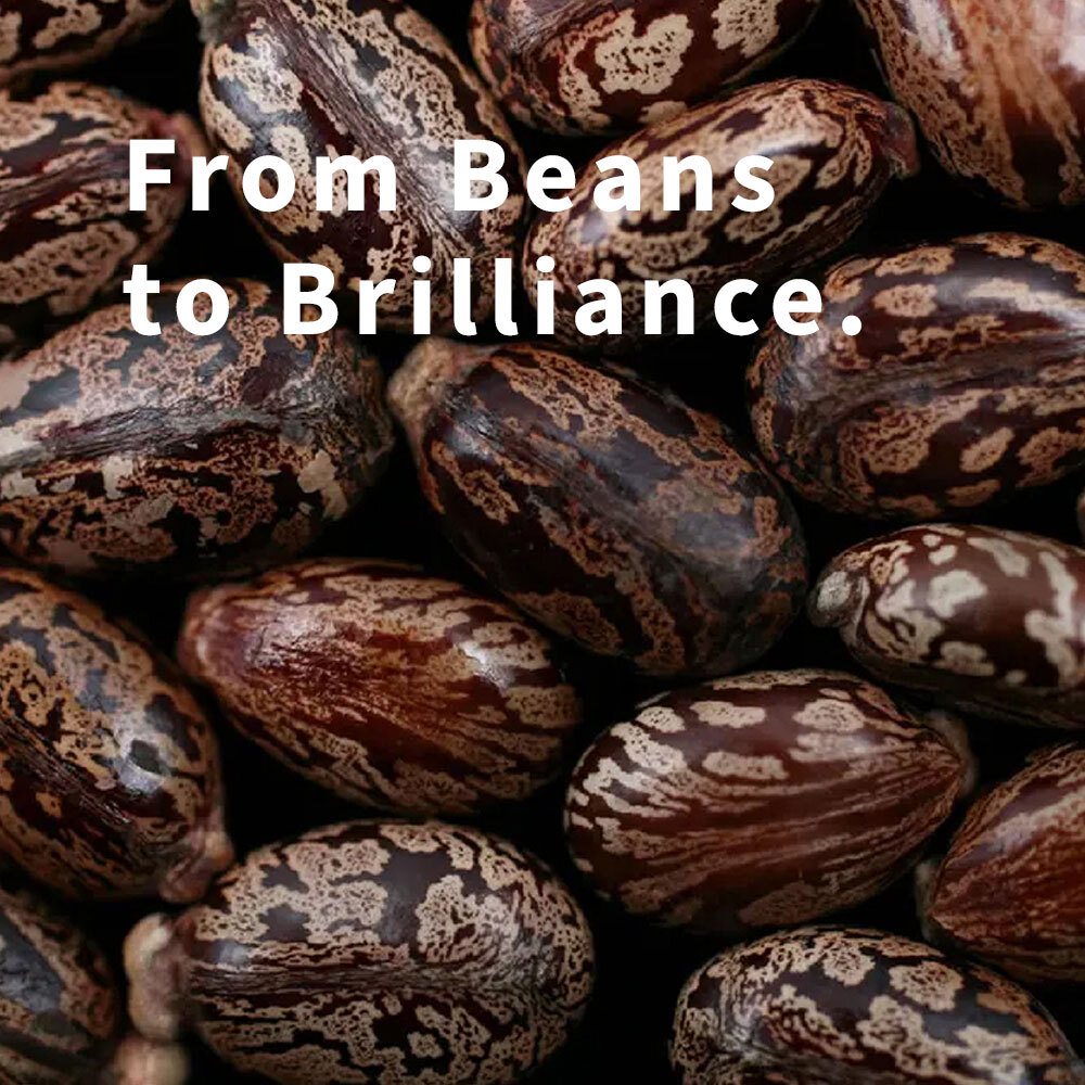 Des haricots à la brillance