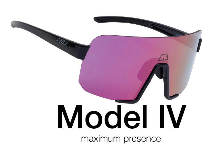 PPEEQQ Model I