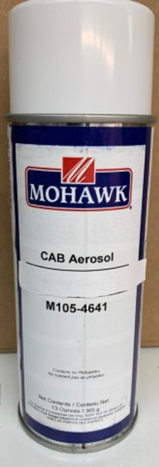 (PW) Touch Up 13 oz Aerosol Paint Can