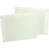 Green Columnar Sheets, Double Page Format, 20 Columns, 11x14, 100/Pack
