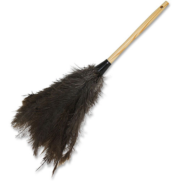 Feather Duster, 18", 12/CT, Brown