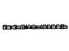 Full-length view of the Momentum Worx Big Betty injector camshaft for Cummins ISX DOHC engines, direct replacement for Cummins 4101432 and 3682142.