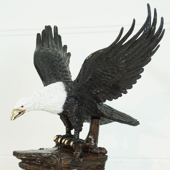 Eagle On A Rock "A5155SP"
