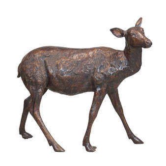Female Deer "A7356B"