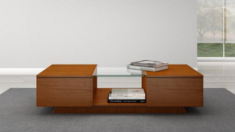53" Sleek Contemporary Coffee Table "FT53CCLC"
