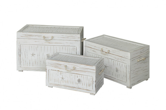 Seaside White Shell Set Of 3 Trunks "CVFZR1551"